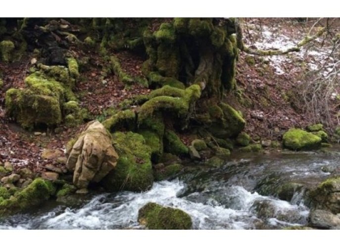 BOYARIZA_Reserva_de_la_Biosfera_Alto_Bernesga