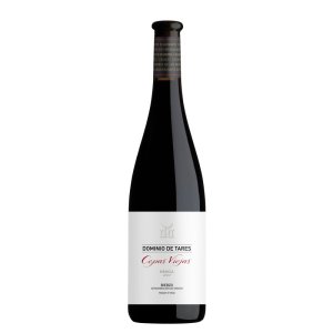 Vinos de Leon