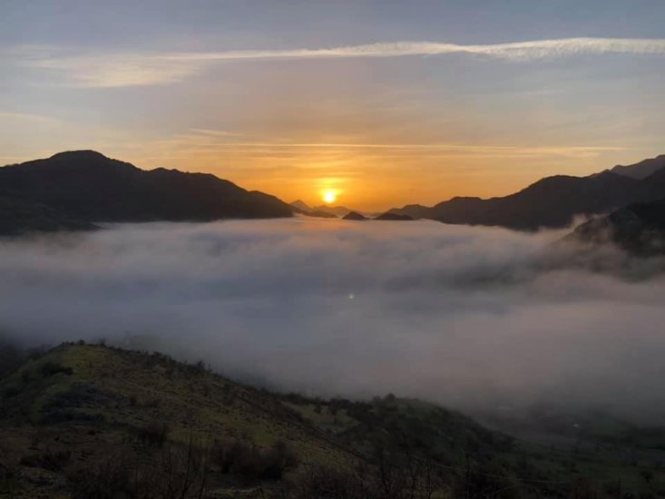 geras-niebla